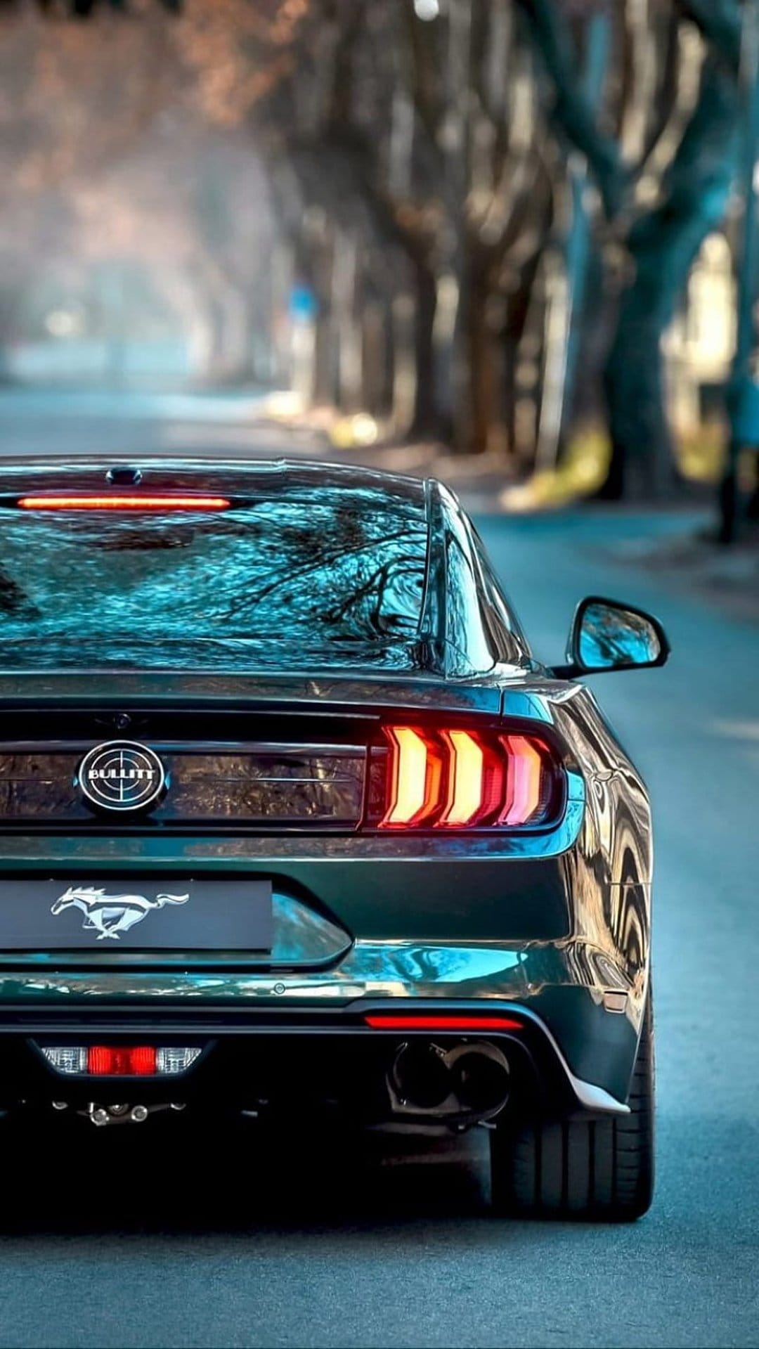 Dark green Ford Mustang rear view showing tri-bar taillights and silver emblem on a tree-lined asphalt road.