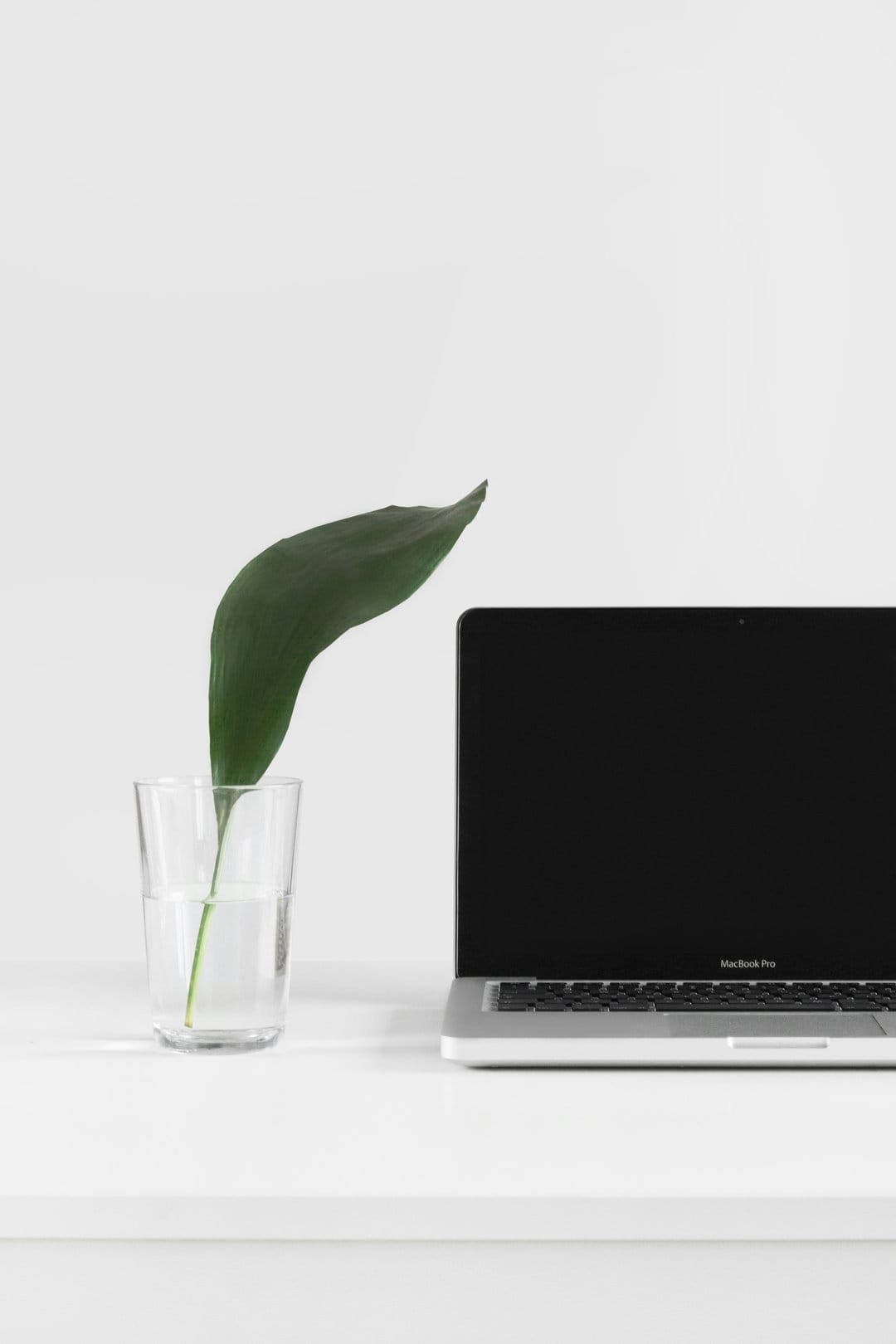 Slim laptop and a single green leaf inside a glass jar arranged on a bright, empty white desk in soft light.