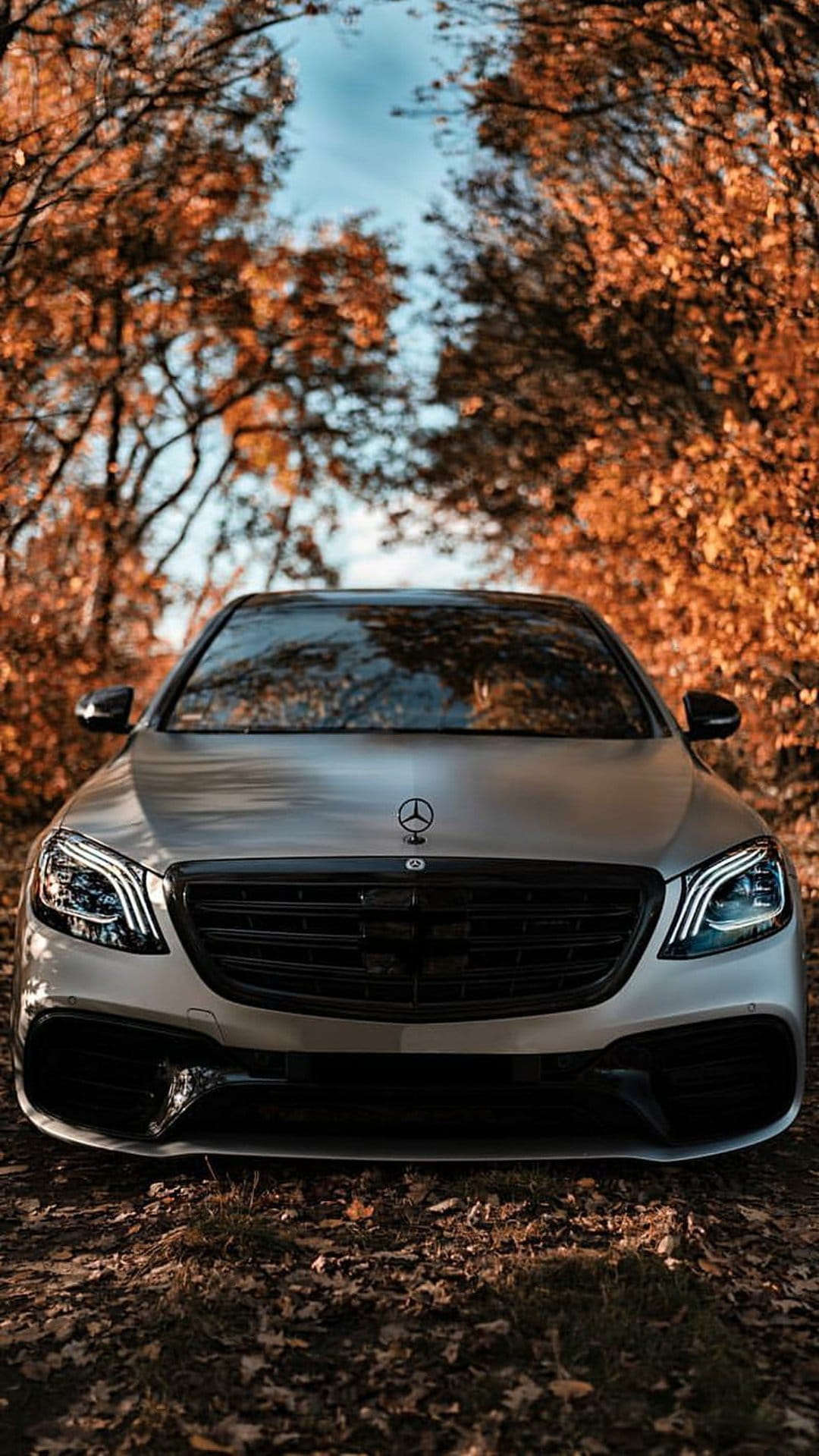 Silver Mercedes-Benz sedan parked on a forest road covered in orange autumn leaves with its headlights glowing.