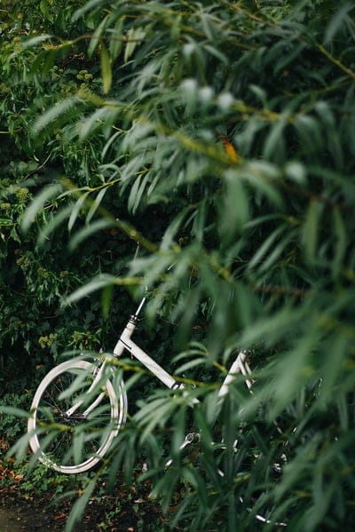 bike, leaves, branches, green, mobile wallpaper, android wallpaper, iPhone wallpaper, phone wallpaper