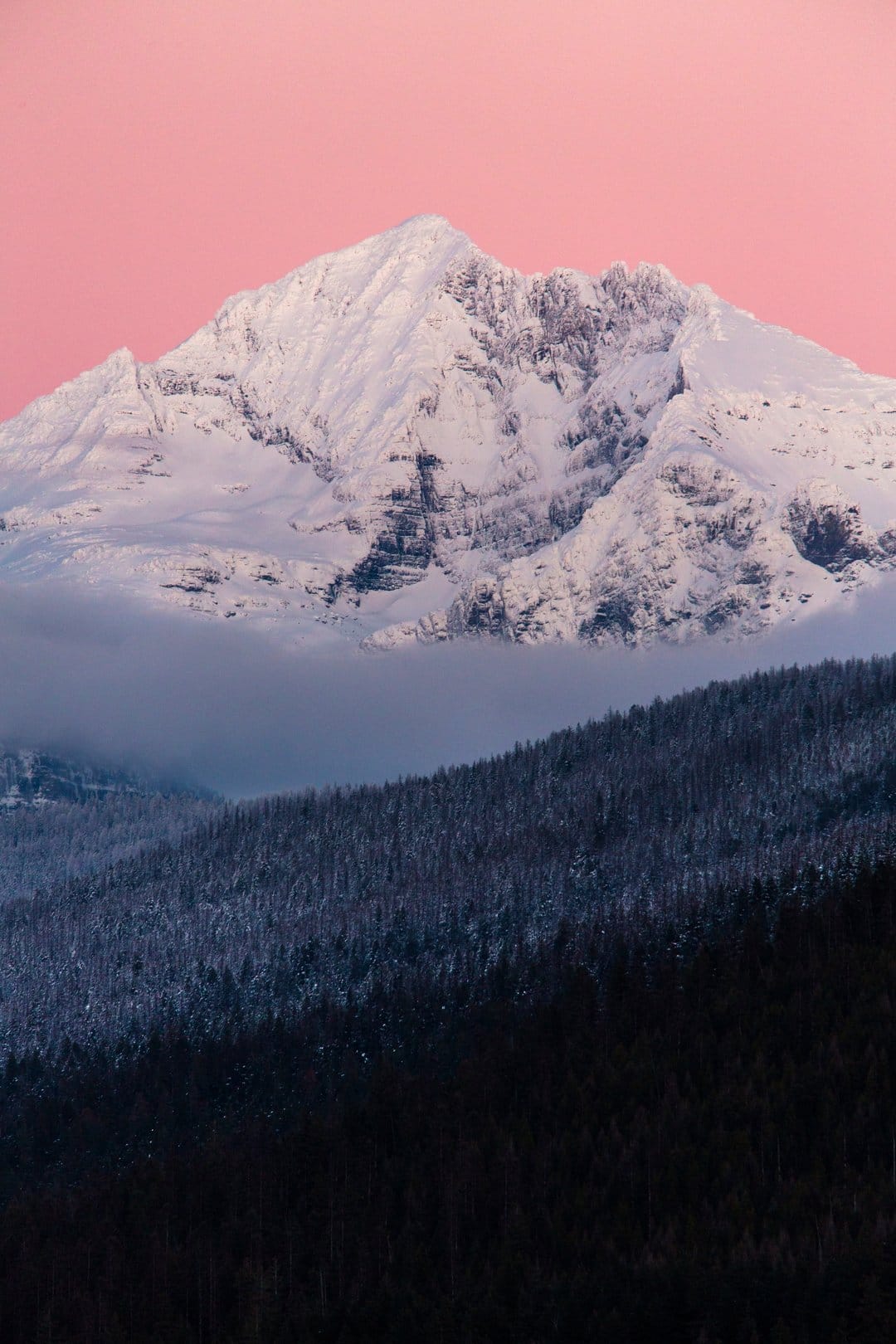 Snowy mountain summit glowing pink under sunset clouds above a dark evergreen forest on a steep winter hillside.
