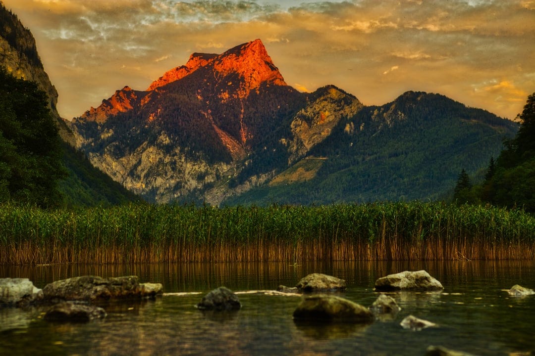 Jagged mountain peak glowing orange at sunset above a calm lake with aquatic reeds and stones in the foreground.
