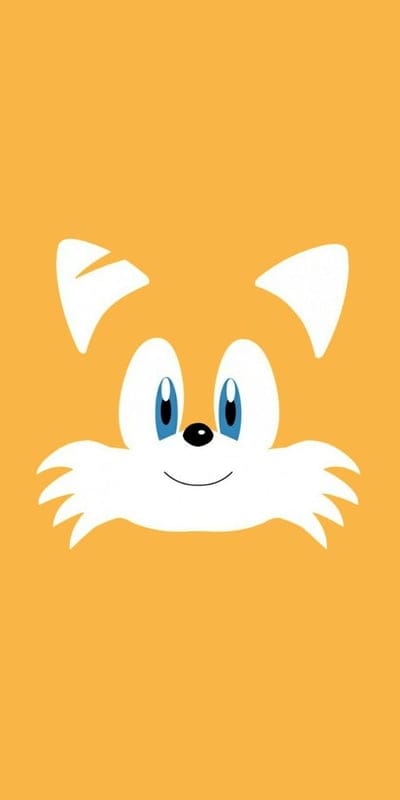 cat,cartoon
