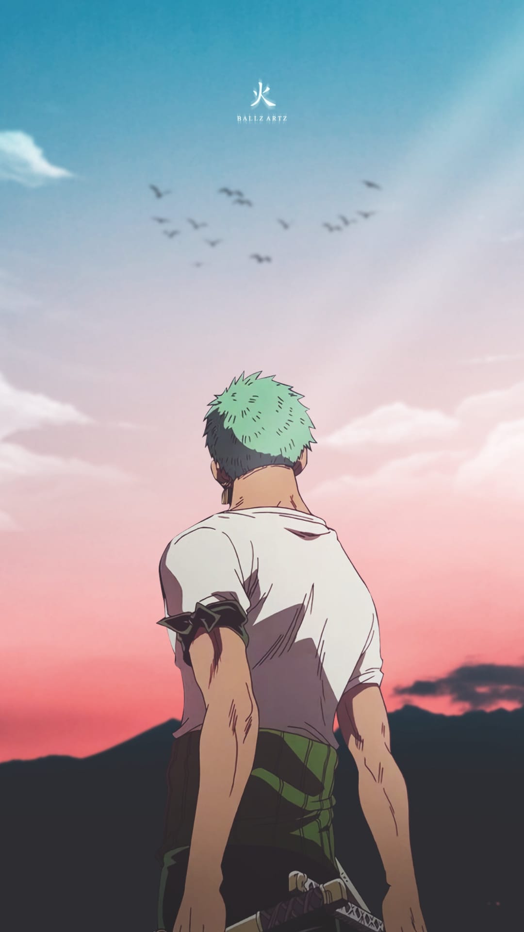 Roronoa Zoro stands from behind wearing green pants and a white shirt with three swords under a sunset bird sky.