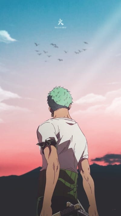 Roronoa Zoro, anime, hunter x hunter, luffy, monkey d luffy, nami, naruto, one piece, sanji, zoro