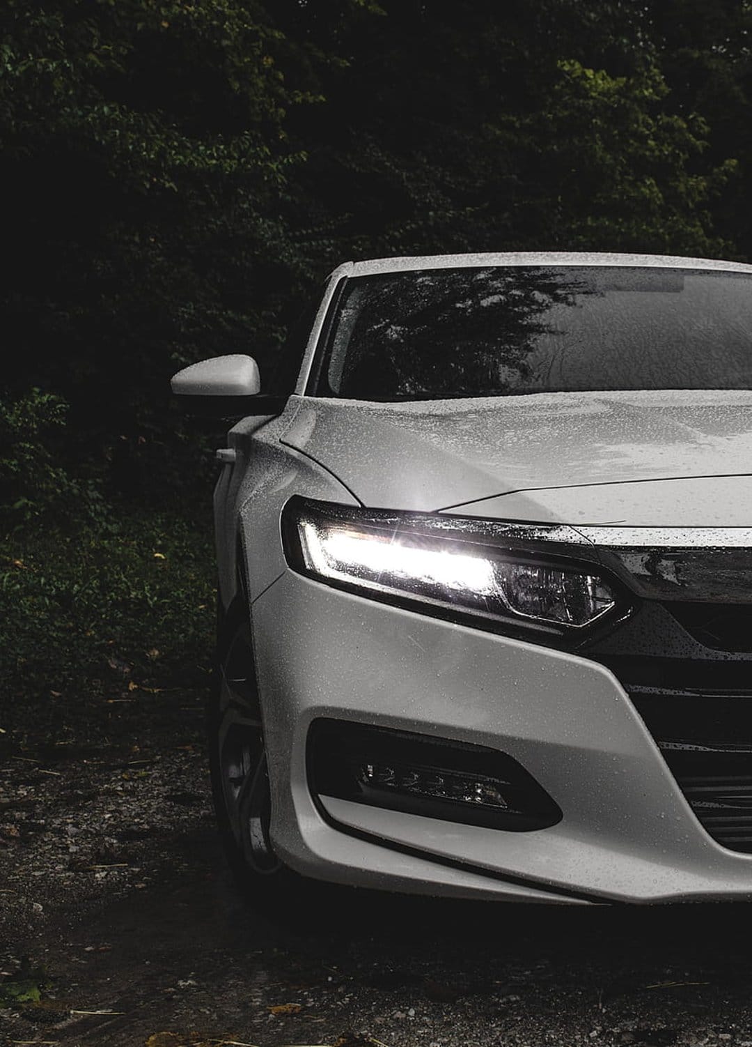 White Honda Accord headlight with water droplets glows against a dark, lush forest background during twilight.