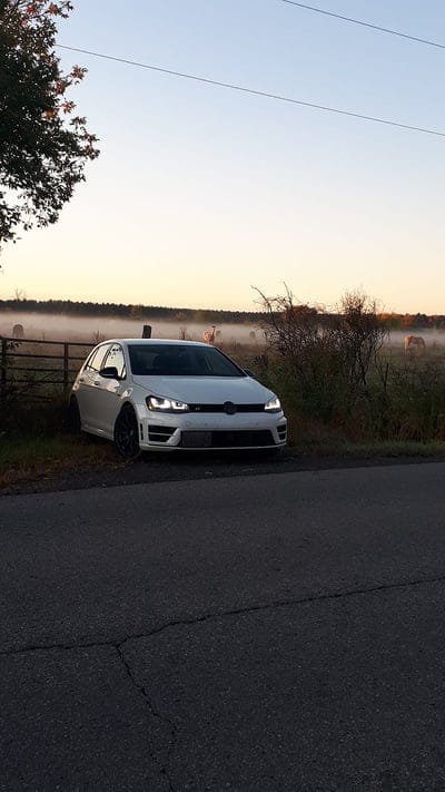 Mk7 at the ranch, car, country, fog, golf, golf r, horse, volks, volkswagen, vw, mobile wallpaper, android wallpaper, iPhone wallpaper, phone wallpaper