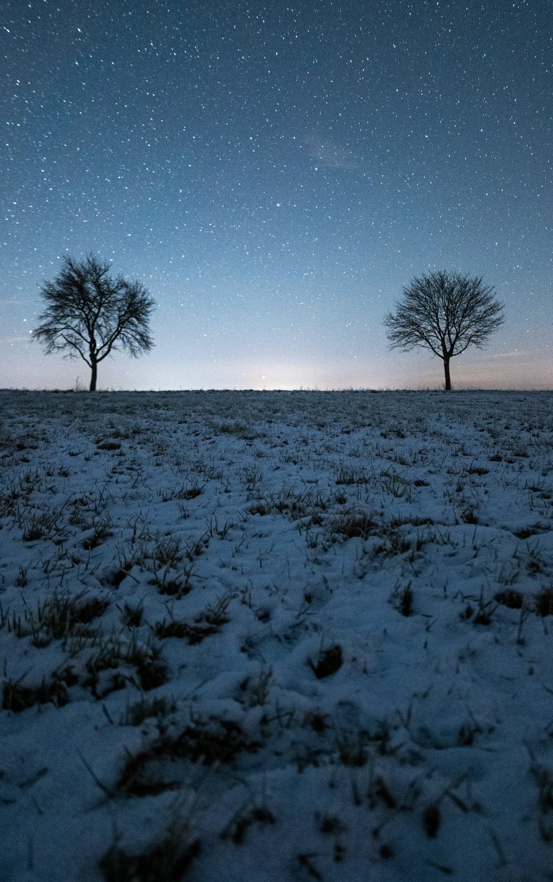 Two leafless trees silhouette against a starry dark blue sky over a snow-dusted field on a cold winter night.
