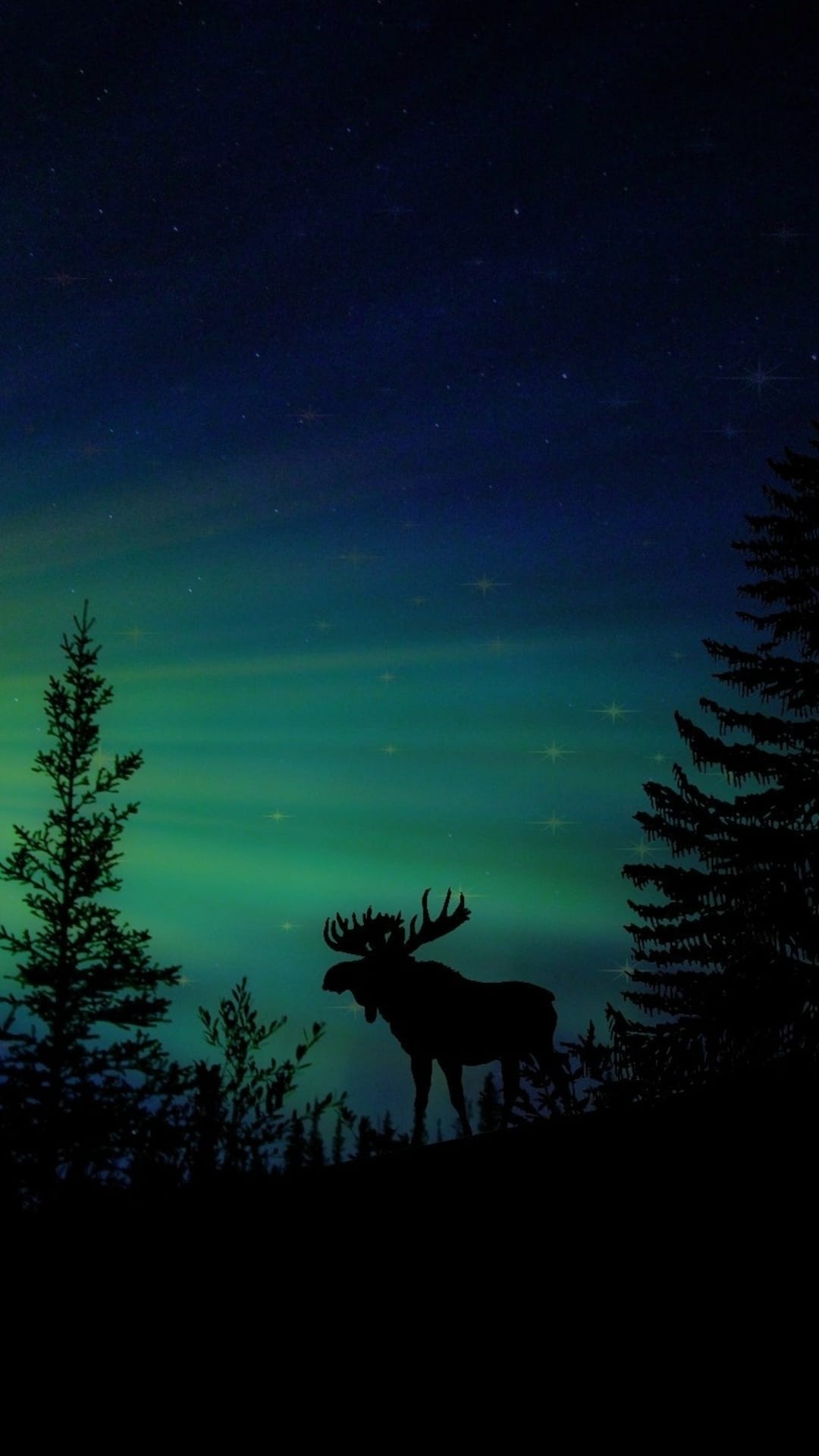 Moose silhouette with large antlers stands before a green aurora borealis and starry night sky in a pine forest.