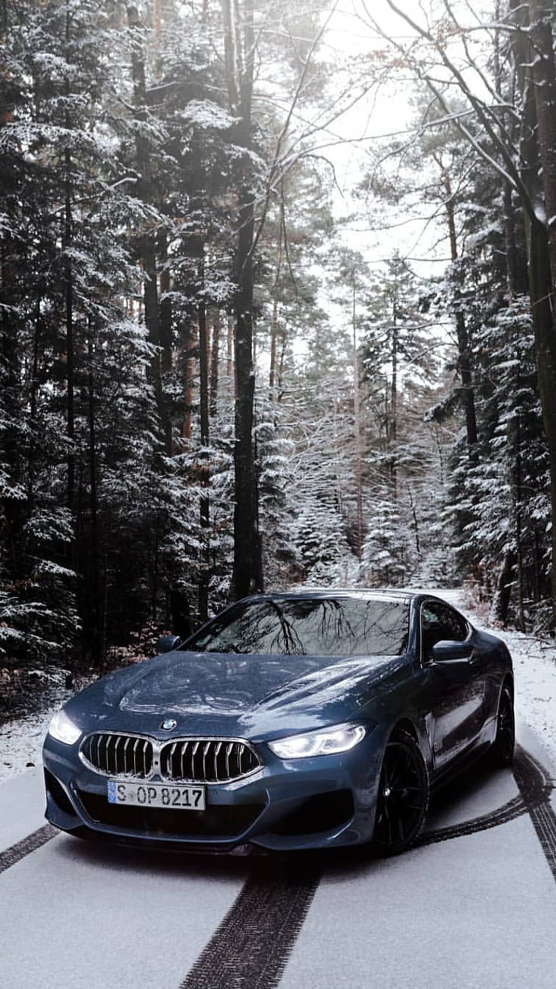 BMW 8 Series coupe with glowing headlights driving on a snowy road through a dense winter pine forest landscape.