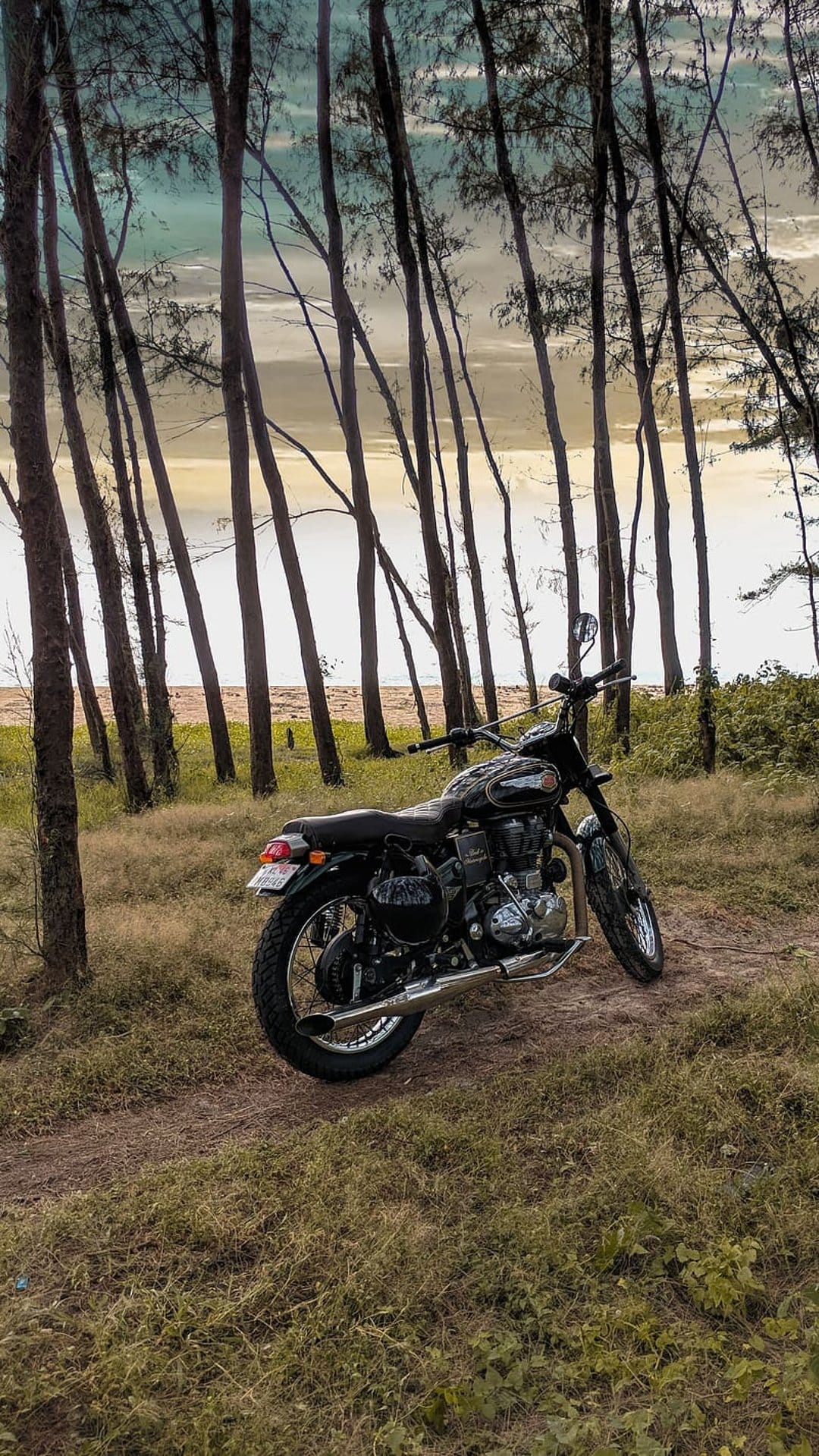 Black vintage motorcycle parked on a sandy path between tall pine trees overlooking a blue ocean under clear sky.