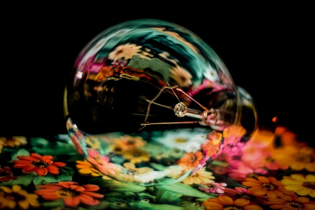 Clear glass lightbulb reflecting pink and orange flowers on a dark surface, showing the detailed inner filament.