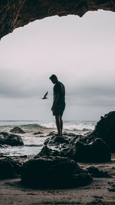 boybackonseaview,birdsonskybg,seaview,alone,boy,attitude