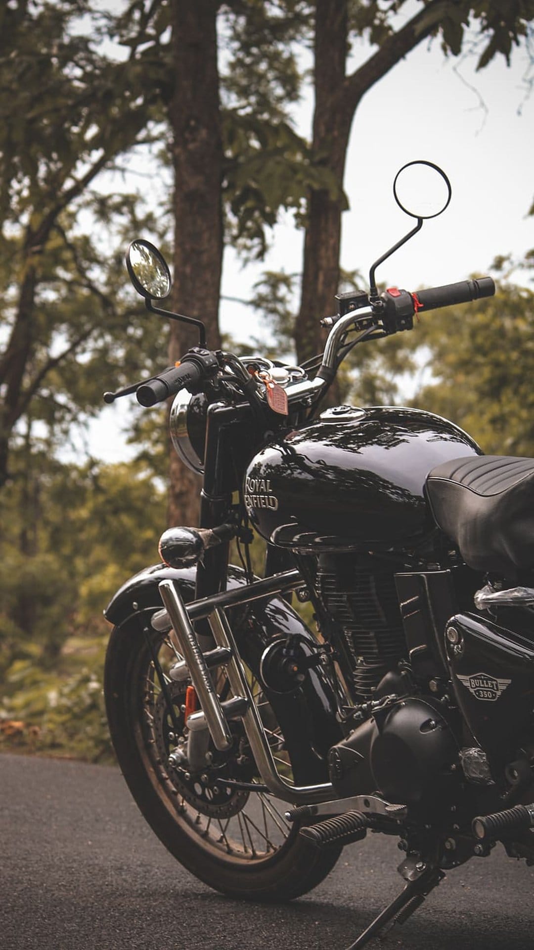Black Royal Enfield motorcycle on an asphalt road surrounded by tall trees and lush green forest foliage.