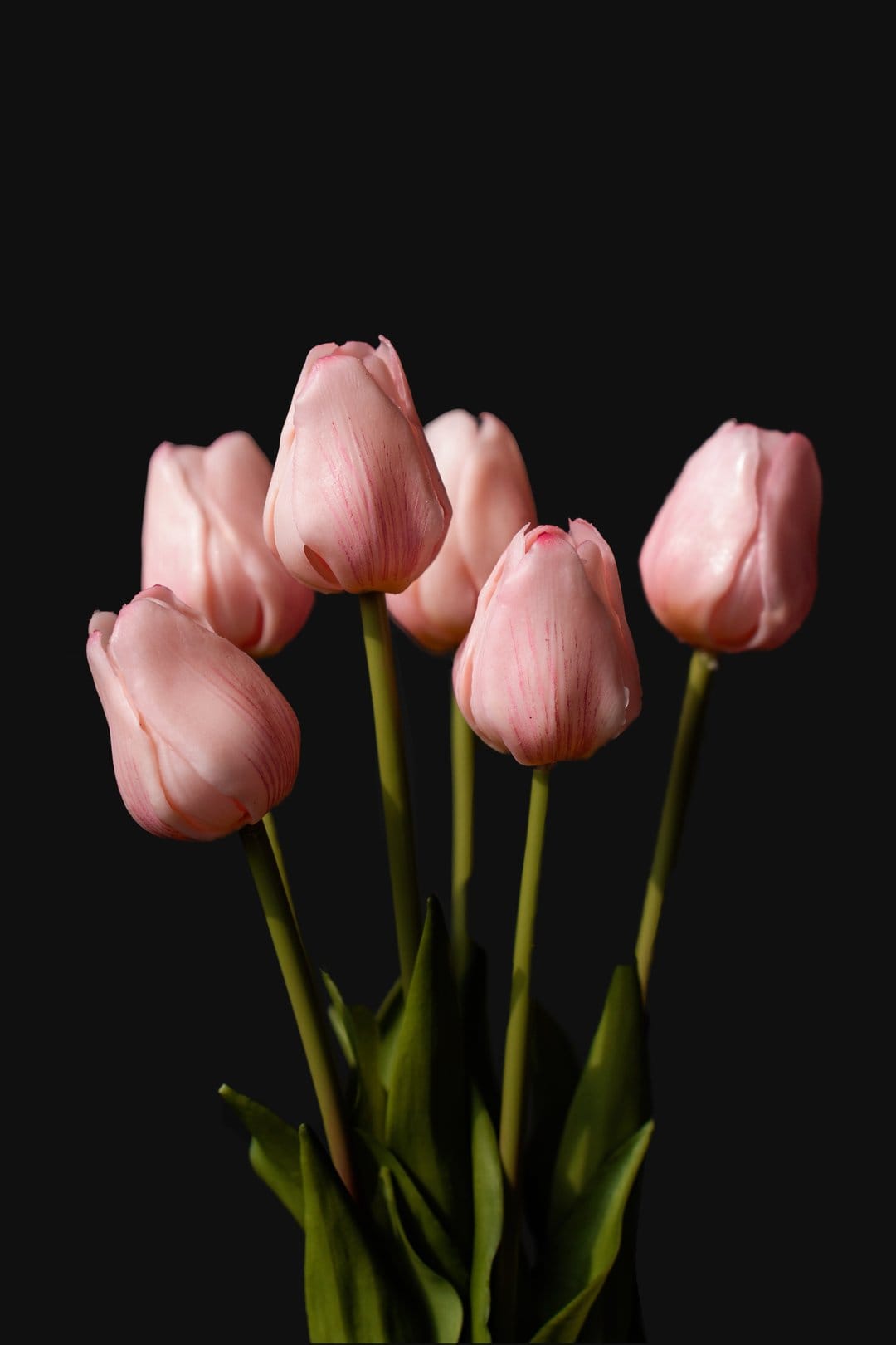 Pink tulips with green leaves glow against a solid black background in a vertical floral close-up arrangement.