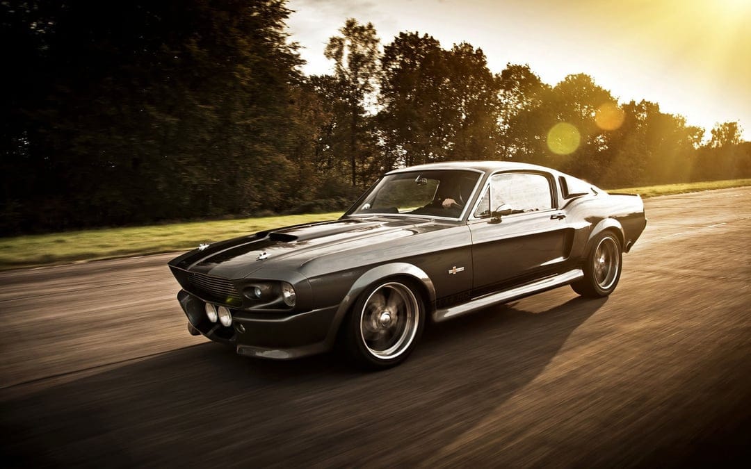 Charcoal gray Shelby GT500 Mustang speeding on a tree-lined road with golden sunset lighting and motion blur.