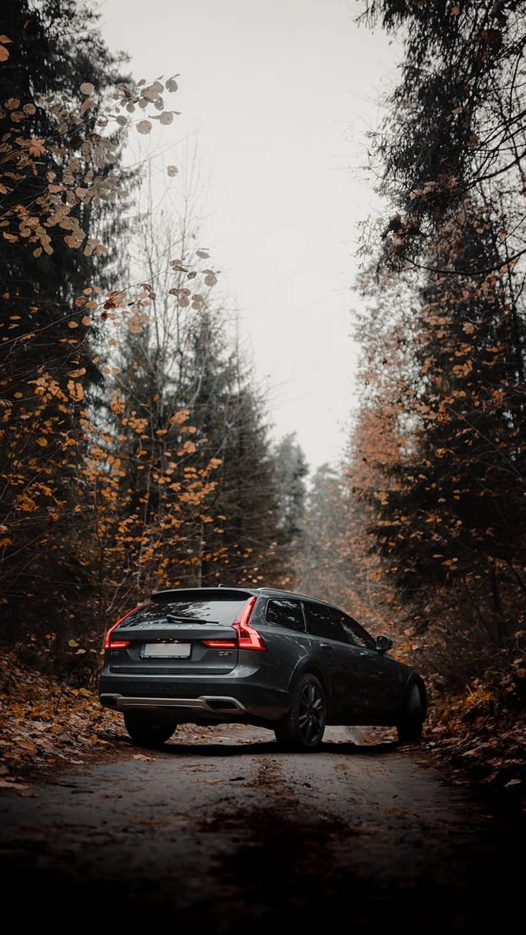 Dark Volvo Cross Country wagon parked on a dirt road surrounded by orange and yellow autumn trees and fallen leaves