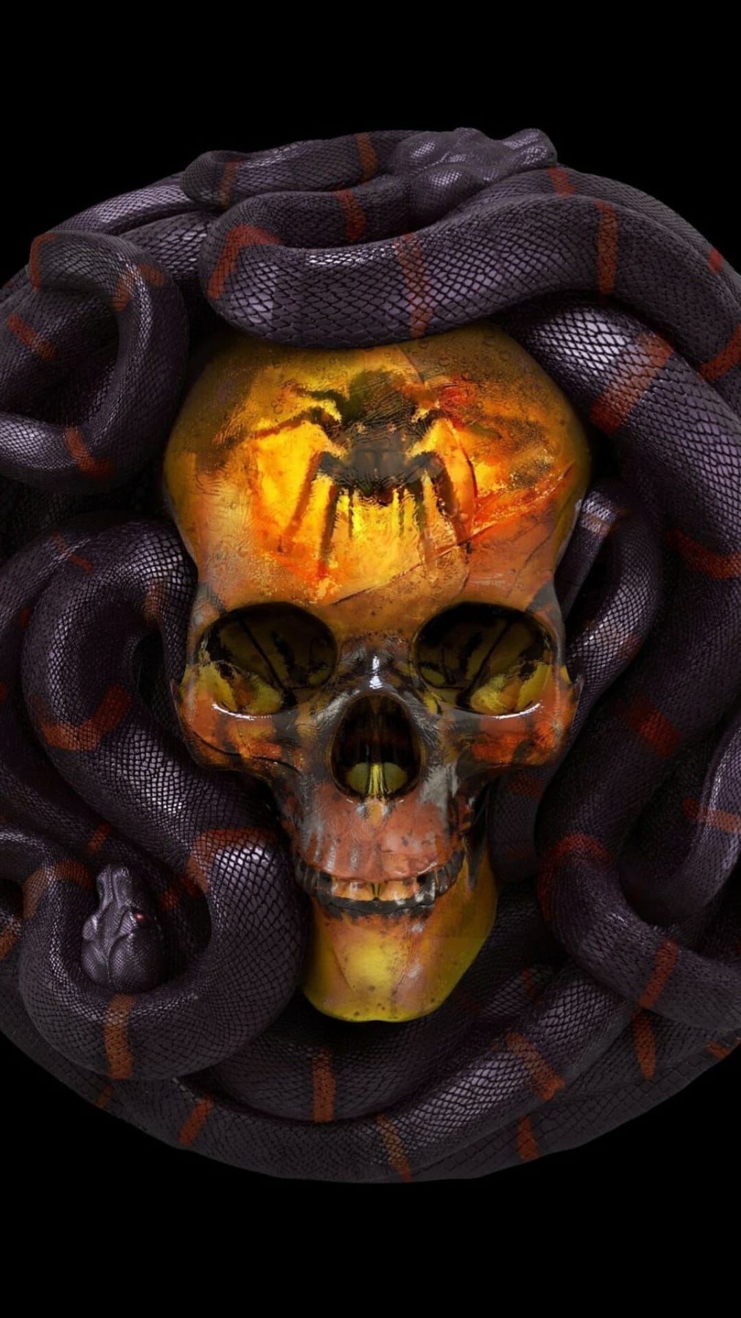 Weathered skull entwined by a black snake with a spider silhouette on the forehead against an orange glow.