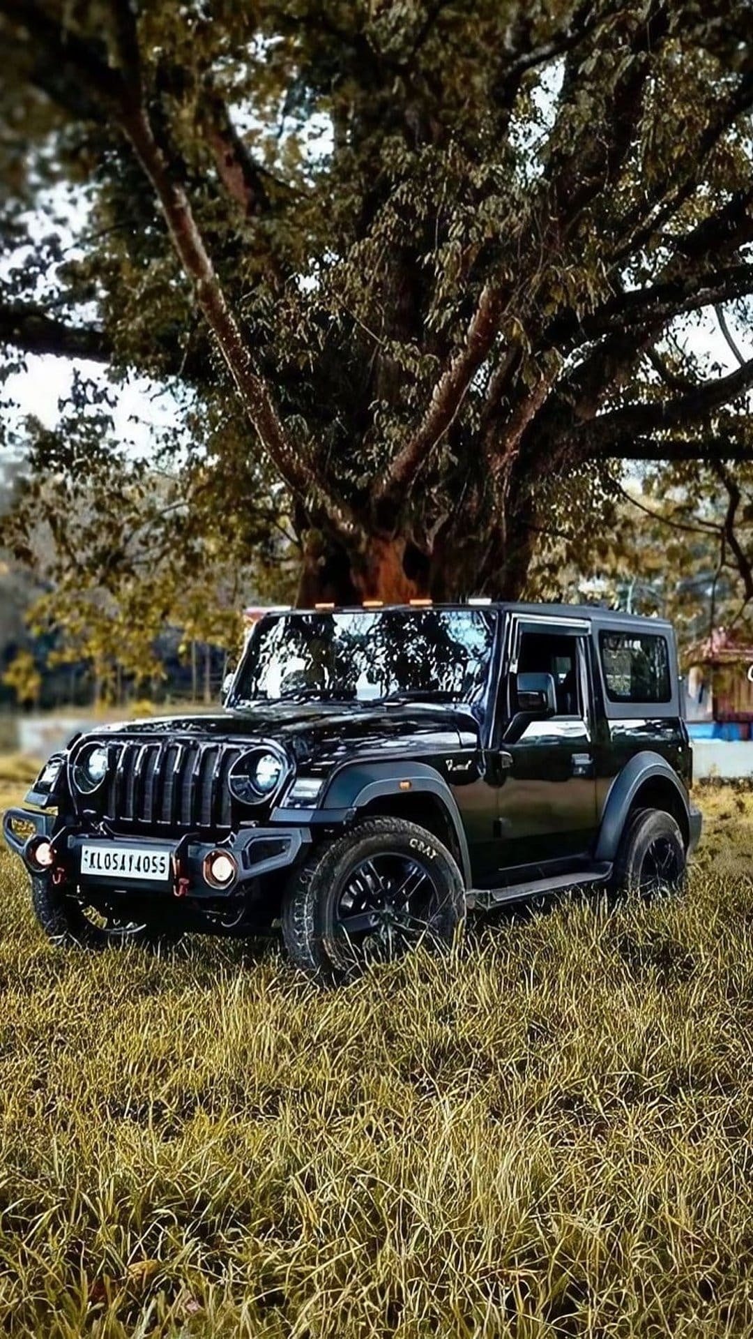 Black Mahindra Thar SUV parked in tall dry grass beneath a sprawling tree canopy during golden hour lighting.