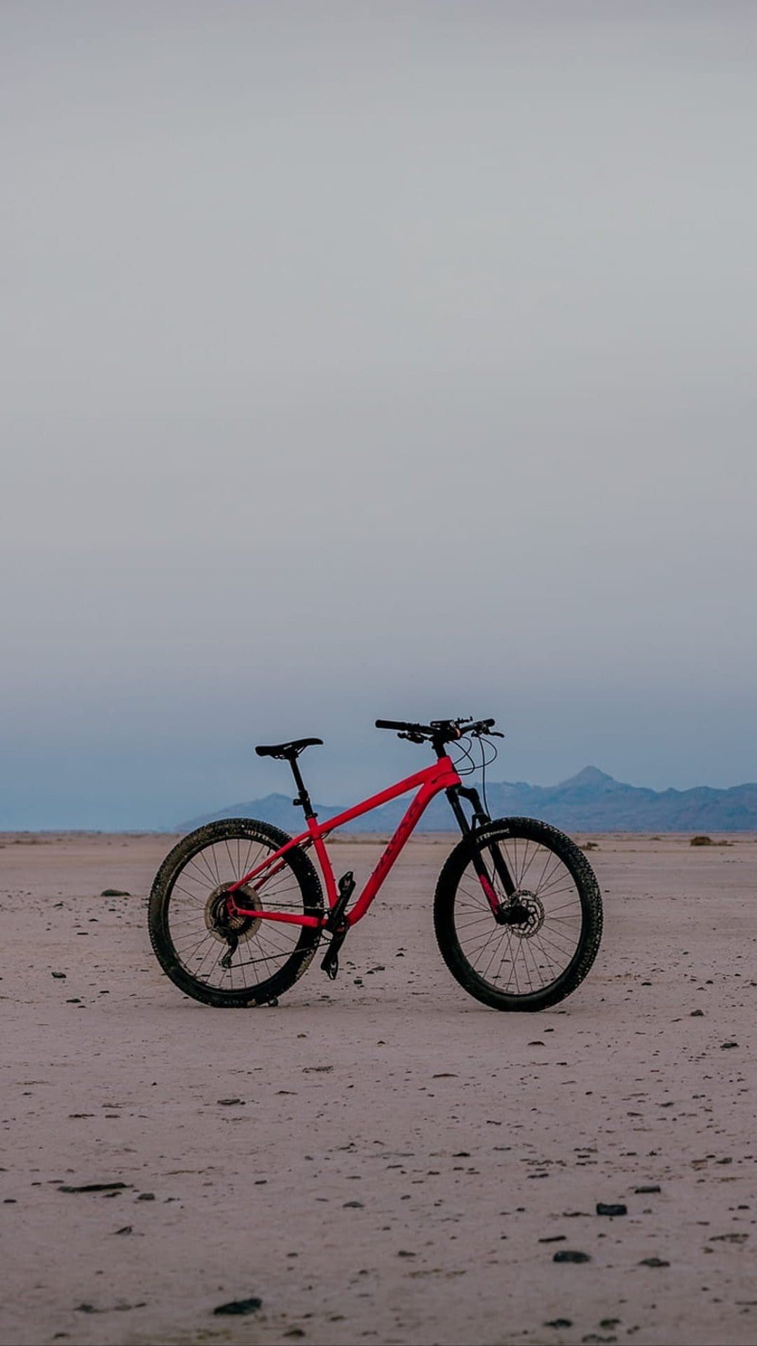 Red mountain bike stands centrally on a sandy desert plain with soft mountains under a cloudy, overcast sky.