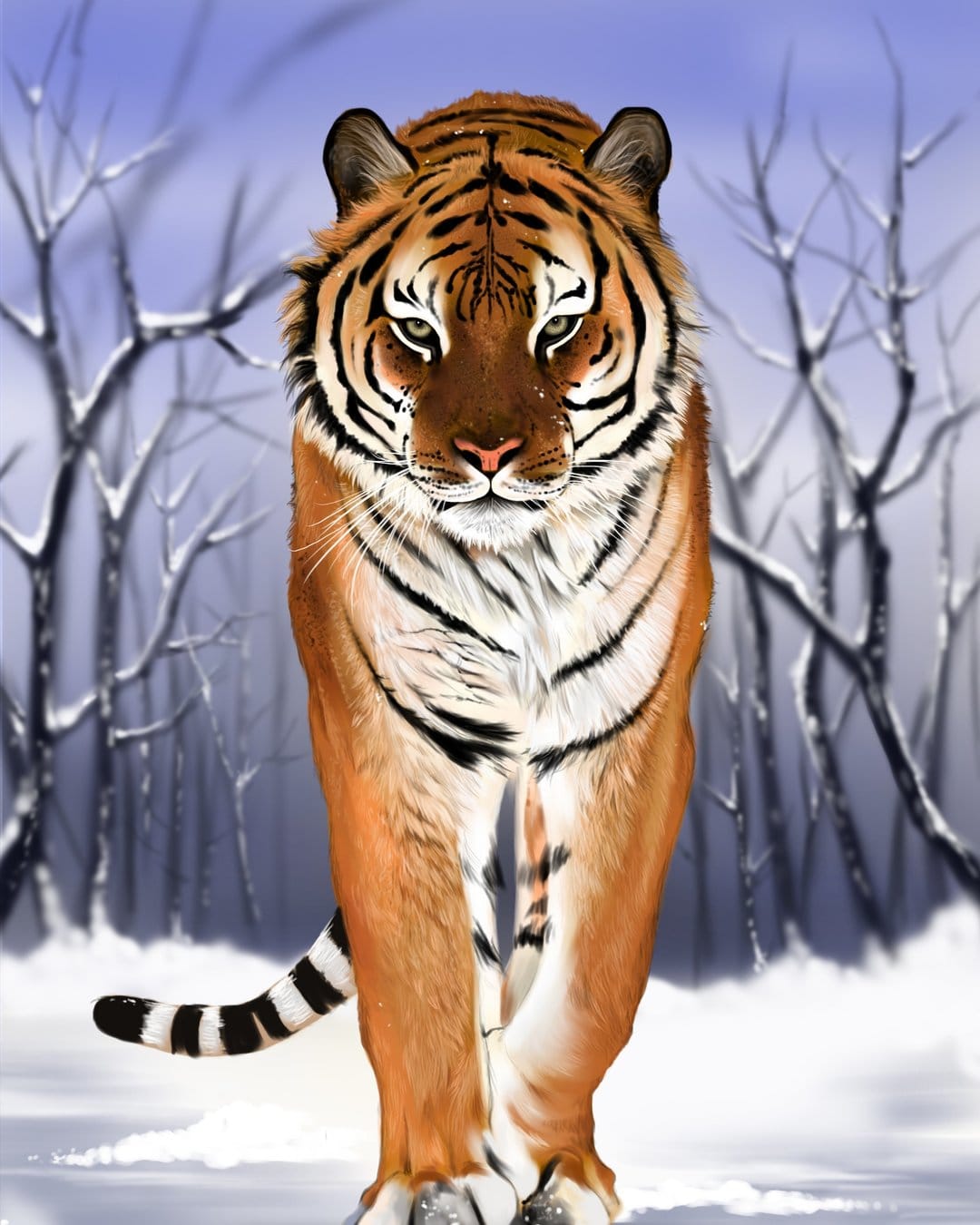 Orange tiger walks through a snow-covered forest with bare winter trees and a soft white frozen landscape.