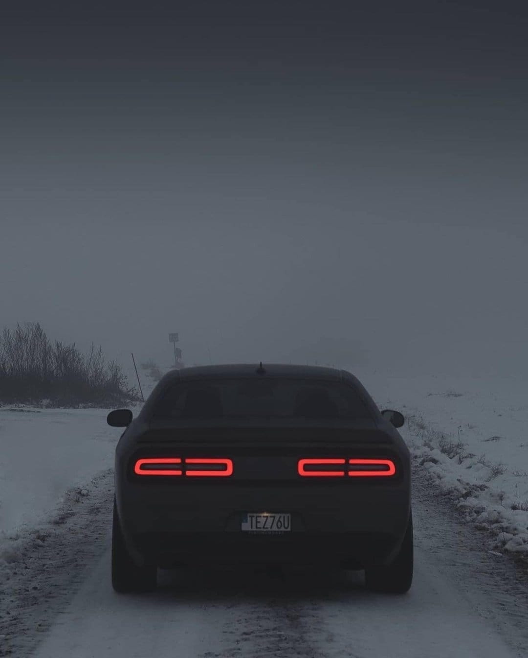Black sports car rear view with glowing red LED taillights on a foggy, snow-covered road lined with bare trees.