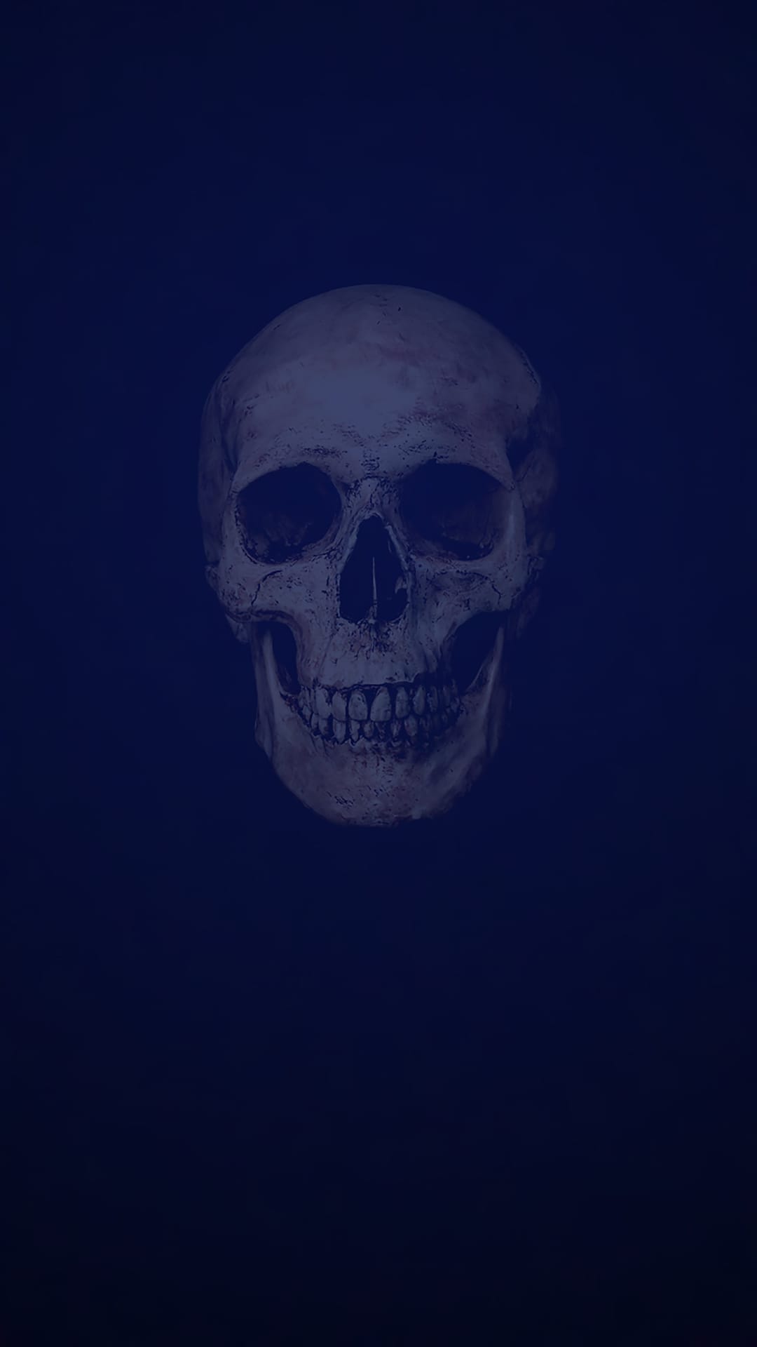 Human skull with detailed bone texture and deep eye sockets centered against a dark blue gradient background.