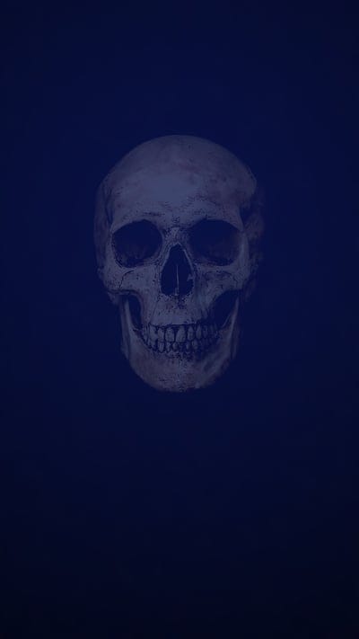 skull, desenho
