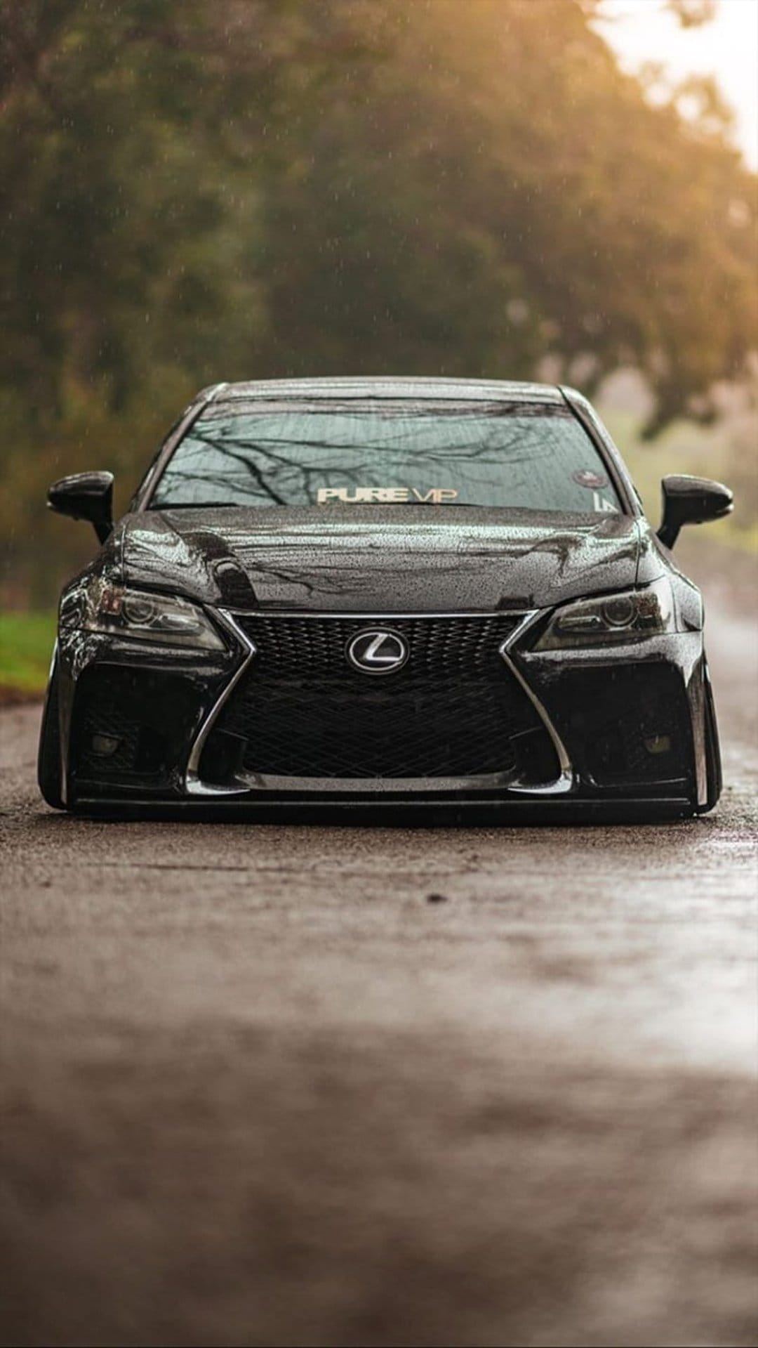 Black Lexus GS sedan with a low stance and chrome accents parked on a wet asphalt road near lush greenery.