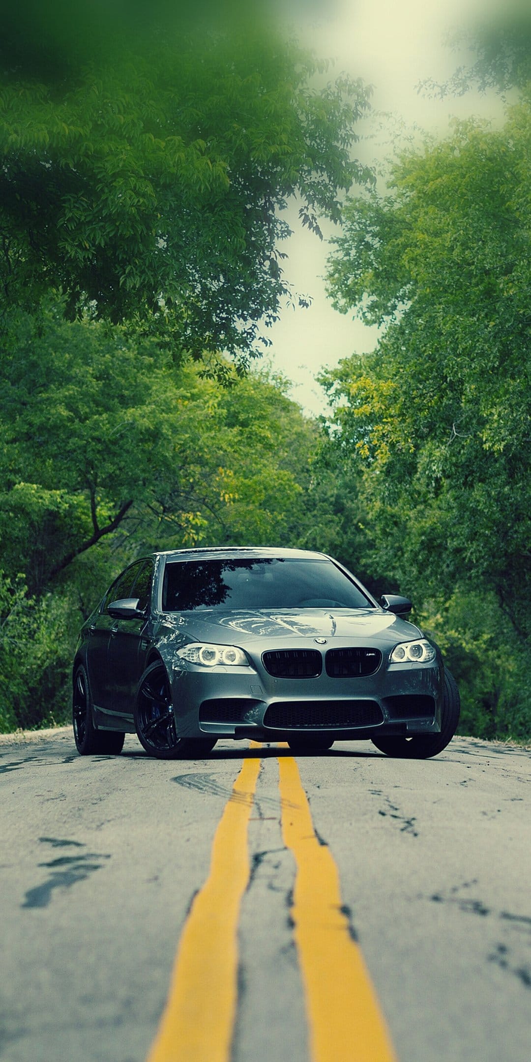 Gray BMW M5 sedan with glowing headlights drives on a forest road with double yellow lines and lush trees.
