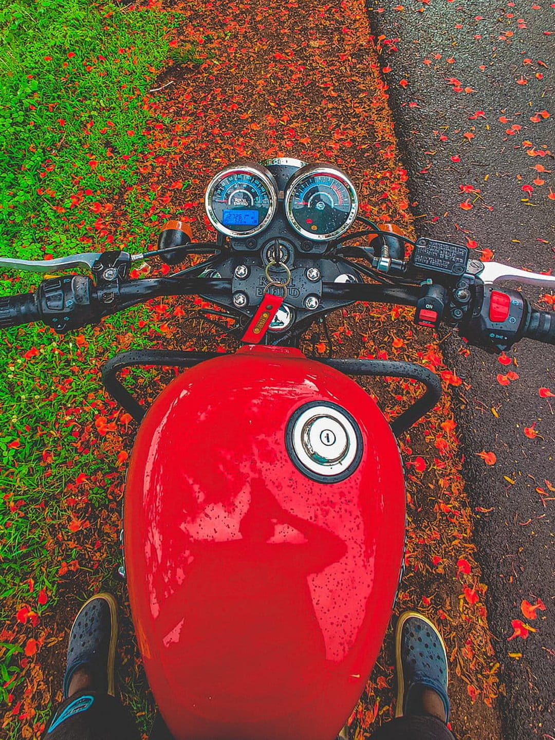 Red motorcycle fuel tank and handlebars viewed from rider POV on a rainy road scattered with pink fallen flowers.