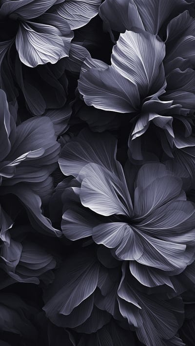 flowers,petals,macro,dark