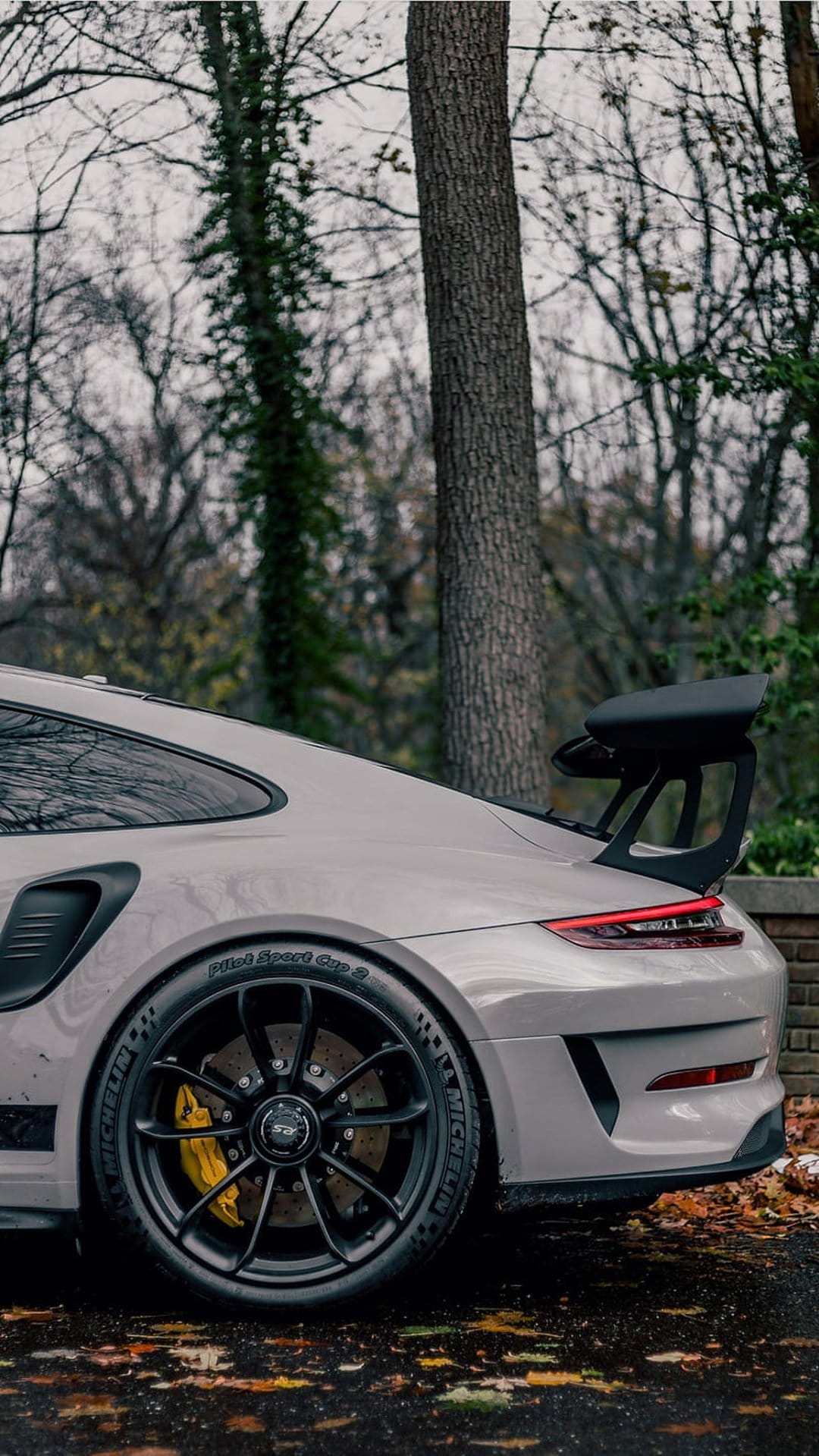 Porsche 911 GT3 RS with a large rear wing parked on a wet road covered in fallen orange autumn leaves.