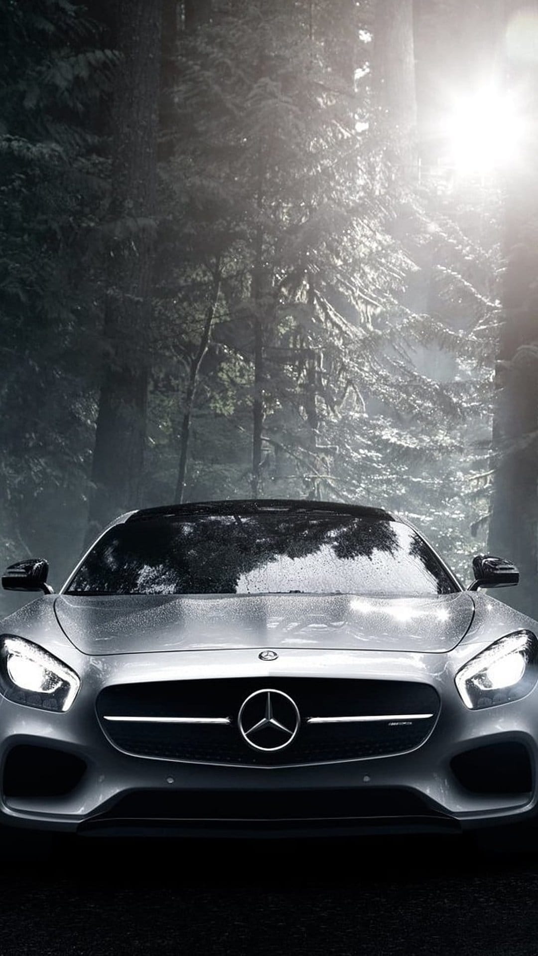 Silver Mercedes-Benz AMG GT parked in a misty forest with sun rays filtering through trees and rain on glass.