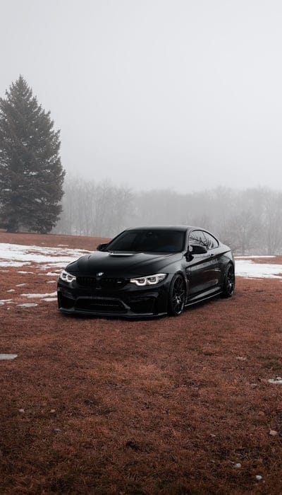 bmw m4,bmw,car,black,forest,field,snow