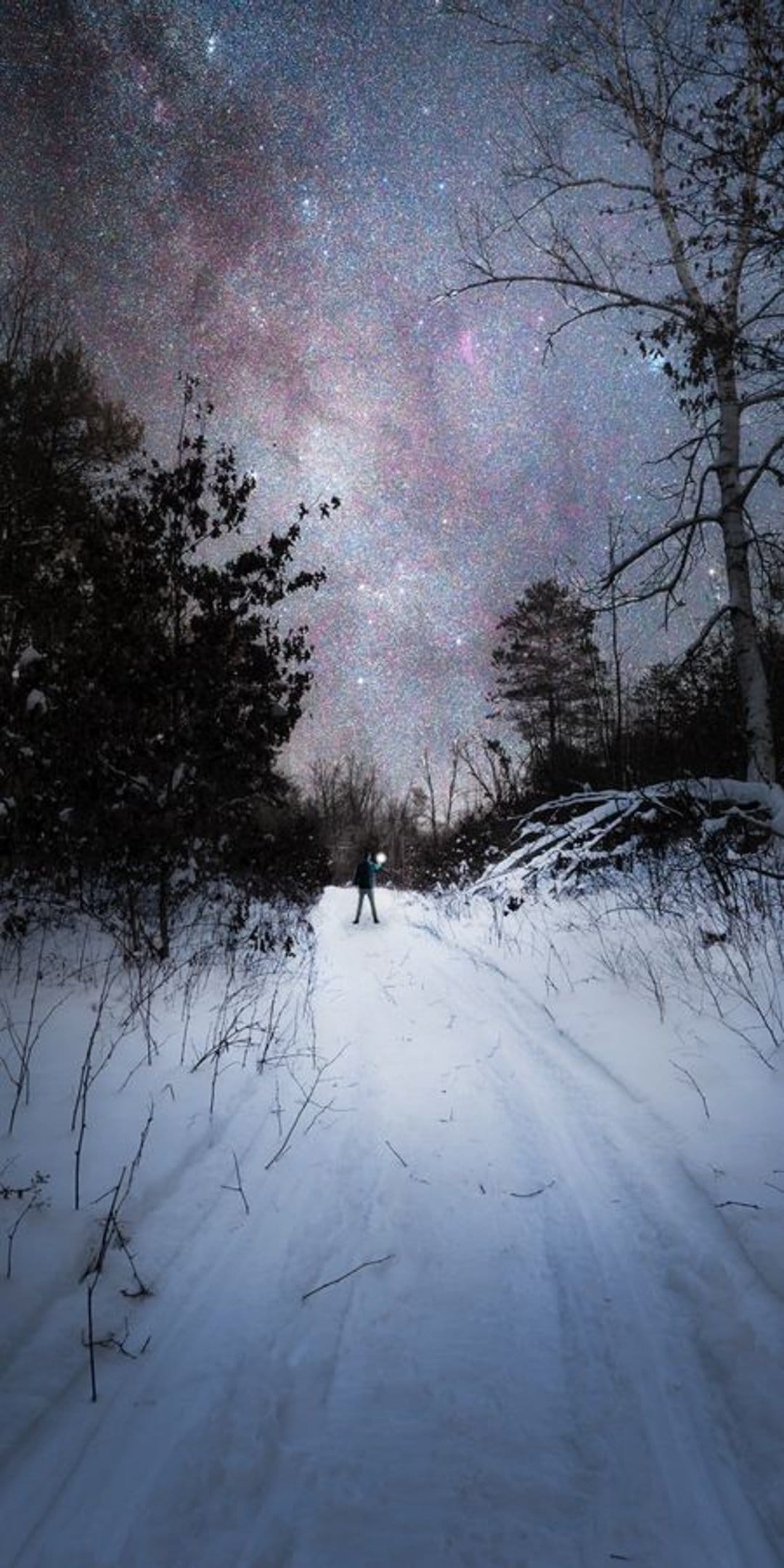 A person holding a lantern stands on a snowy forest path beneath a bright, star-filled galaxy and night sky.