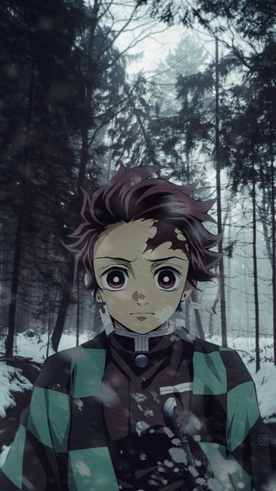 Tanjiro, nezuko, demon slayer, kimetsu no yaiba, anime, tanjiro kamado