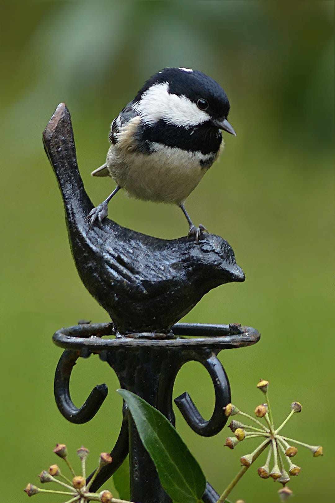 Coal tit with a black cap sits on a cast-iron bird statue amidst soft green leaves and small flowers.