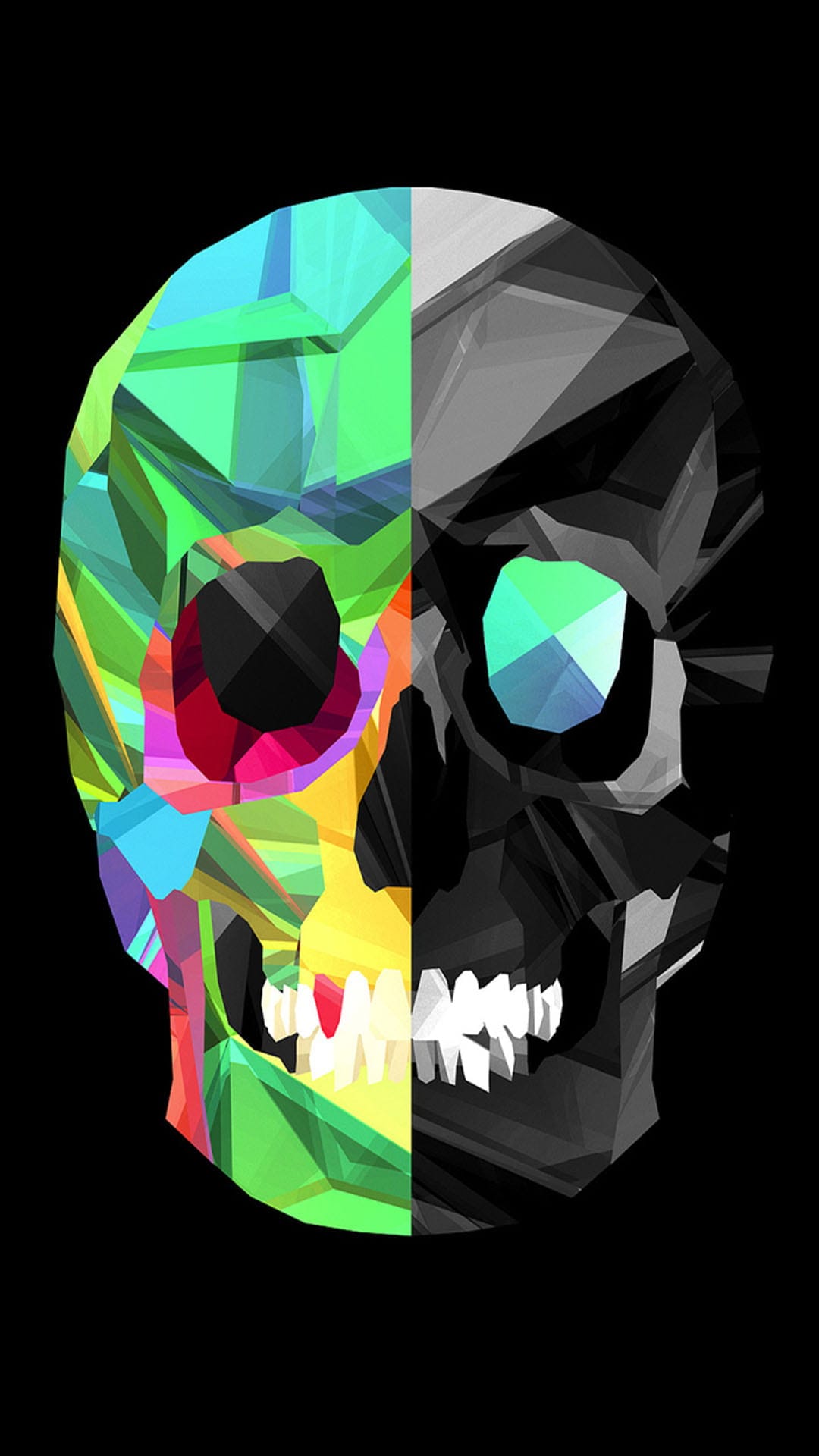 Geometric skull with rainbow facets on one side and black-and-white planes on the other in a vertical layout.