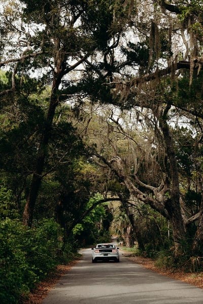 ford mustang, car, muscle car, white, road, trees, mobile wallpaper, android wallpaper, iPhone wallpaper, phone wallpaper