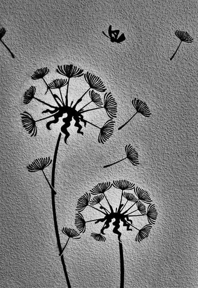 background,beautiful wallpaper,s w,flora,abstract,iphone wallpaper