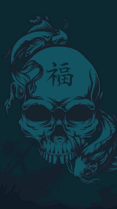 Skull,ship,bottom,debris