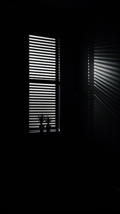 window,plants,light,shadows,dark
