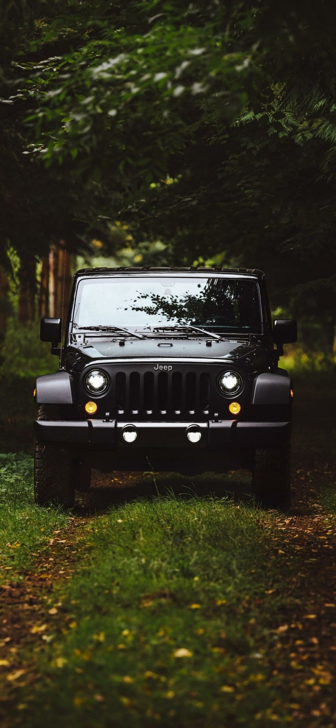Front view of a black Jeep Wrangler with glowing lights on a wooded path under a green forest canopy.