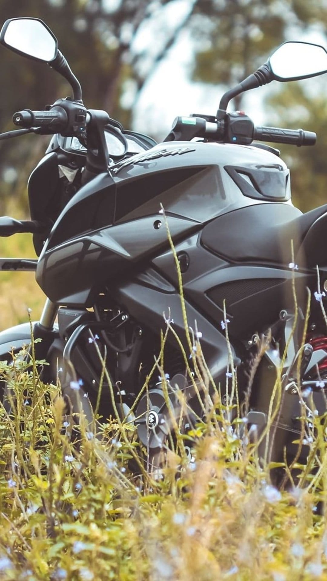 Black motorcycle handlebars and fuel tank rest in tall green grass with small blue wildflowers and blurred trees.