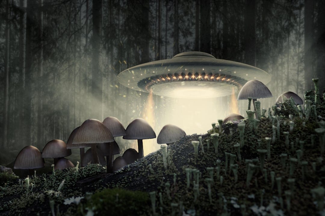 Flying saucer hovering over glowing purple mushrooms in a dark forest with a bright white tractor beam landing.