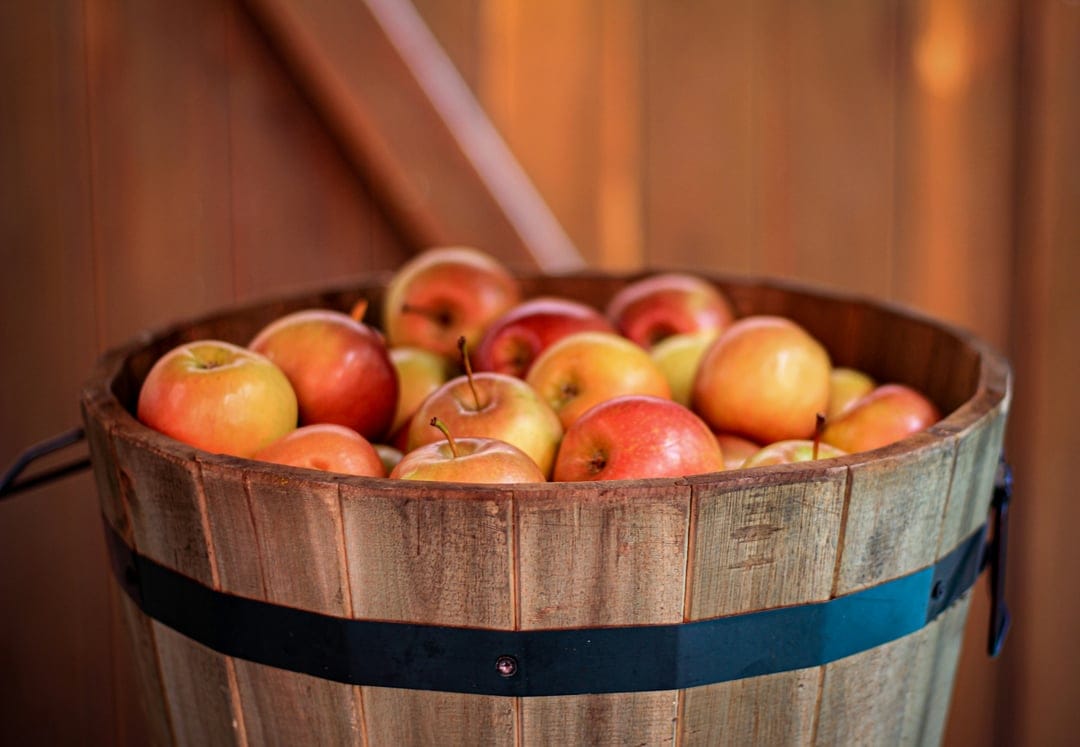 Red and yellow apples spill from a rustic wooden bucket, showcasing textured grain and vibrant fruit skins.