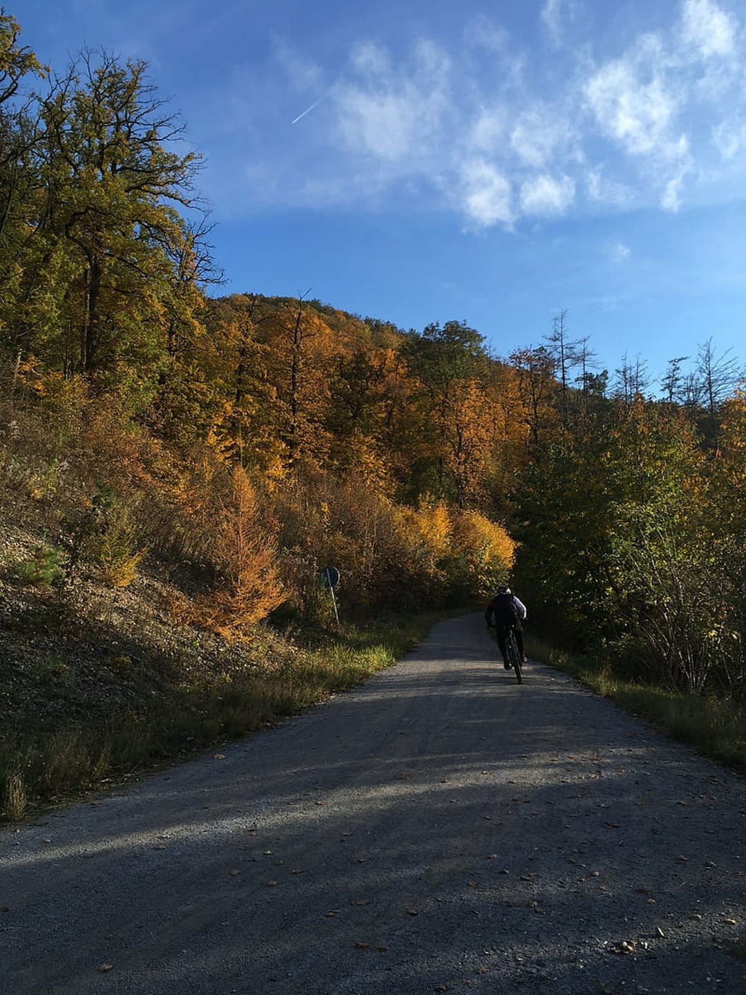 Lone cyclist on a gravel path through vibrant orange and yellow fall trees under a clear blue sky with clouds.