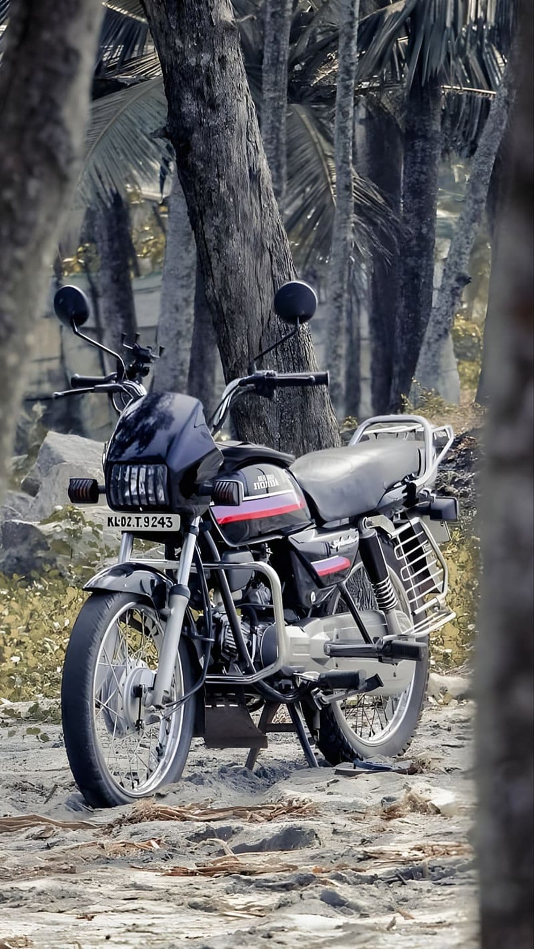 Black Hero Splendor motorcycle parked on sand among tall trees and dense green foliage in a tropical forest.