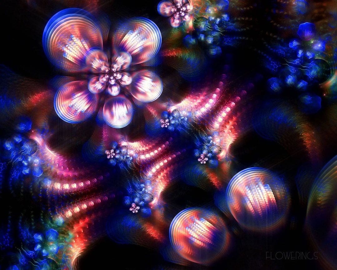 Glowing neon fractal flowers with spiraling blue and pink petals shine against a dark, shadowy background.